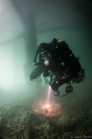 Under Brighton pier