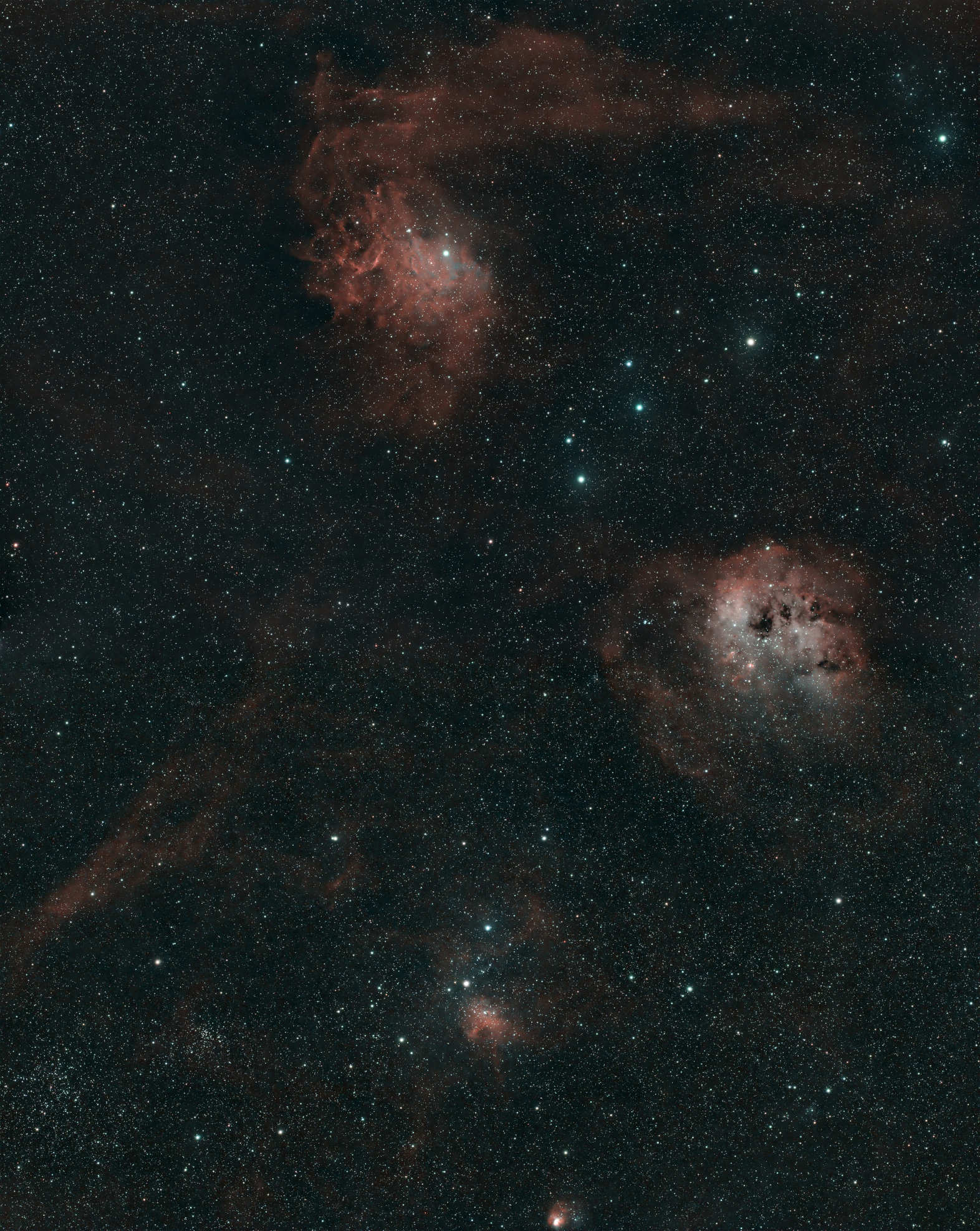 The Tadpole Nebula (IC 410)